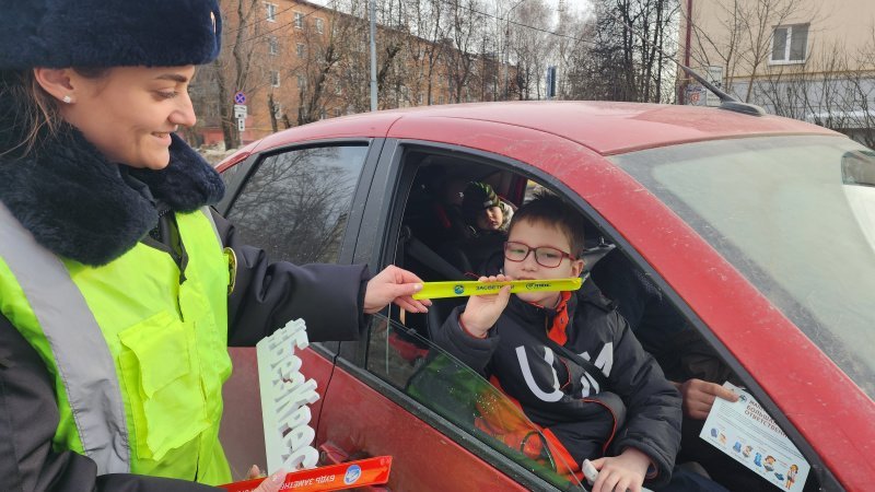 В Домодедово будет проводиться профилактическое мероприятие «Детское кресло» 