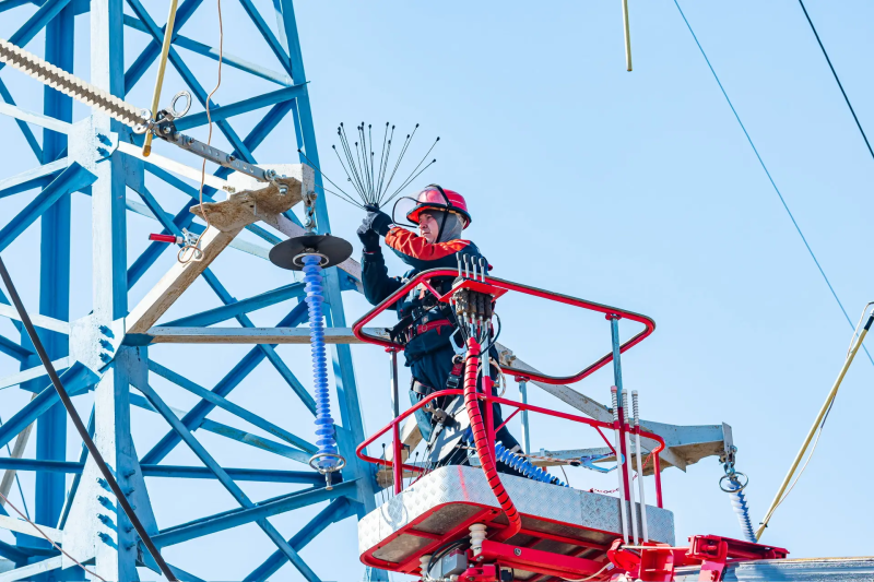 «Россети Московский регион» установят 295 птицезащитных устройств  в городском округе Домодедово в 2026 году