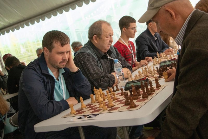 День шахмат состоится в домодедовском парке «Ёлочки»