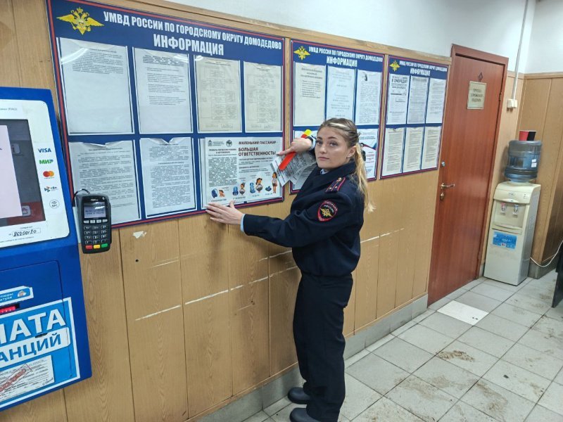 В РЭО отдела Госавтоинспекции по г.о. Домодедово рассказали будущим водителям о важности автокресел при перевозке маленьких пассажиров