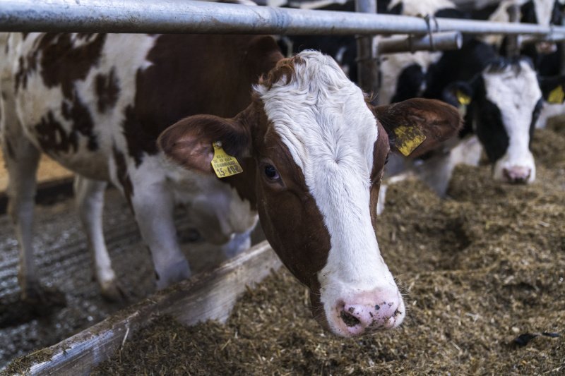 Субсидия хозяйственным обществам. Процедура завершена 
