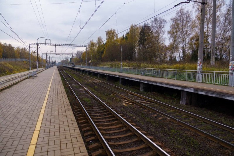 Число дорожно-транспортных происшествий на железнодорожных переездах к уровню 2024 г. снизилось на 12%