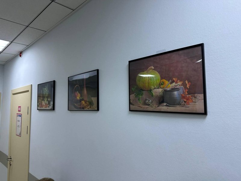 В Домодедовской больнице начала работу фотовыставка «Из жизни натюрмортов»