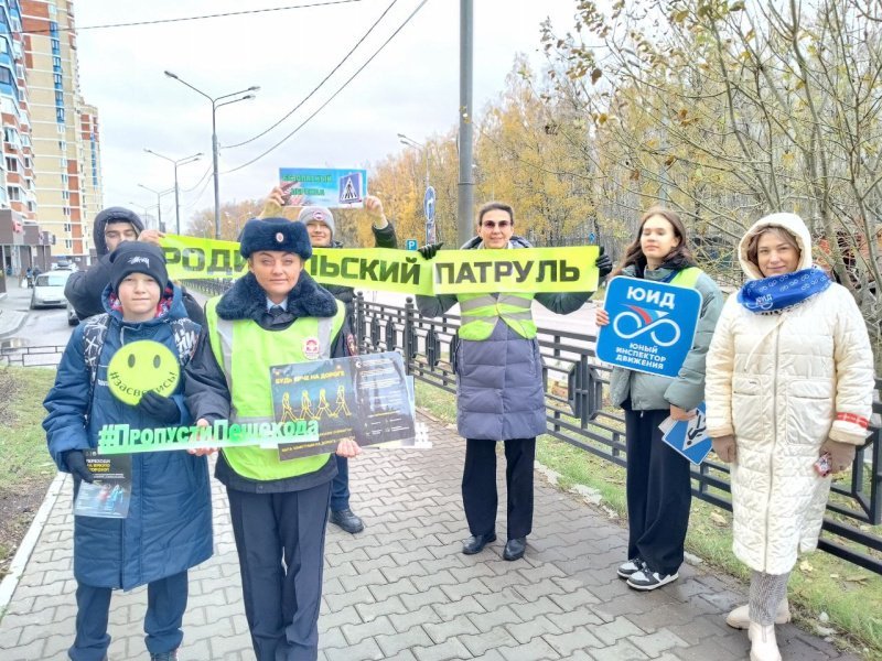 В Домодедово сотрудники Госавтоинспекции провели акцию «Родительский патруль»