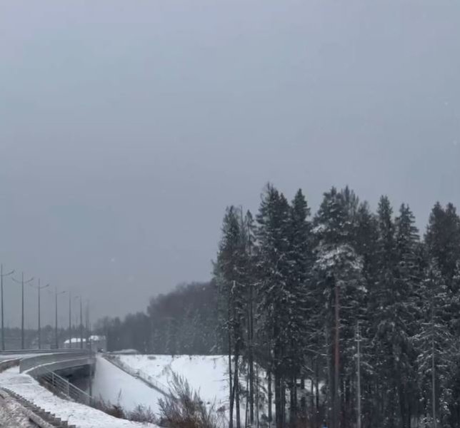 В ближайшие дни в Подмосковье — снегопад