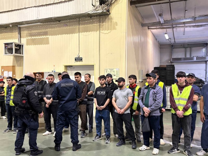 В Домодедово полицейские пресекли нарушения миграционного законодательства