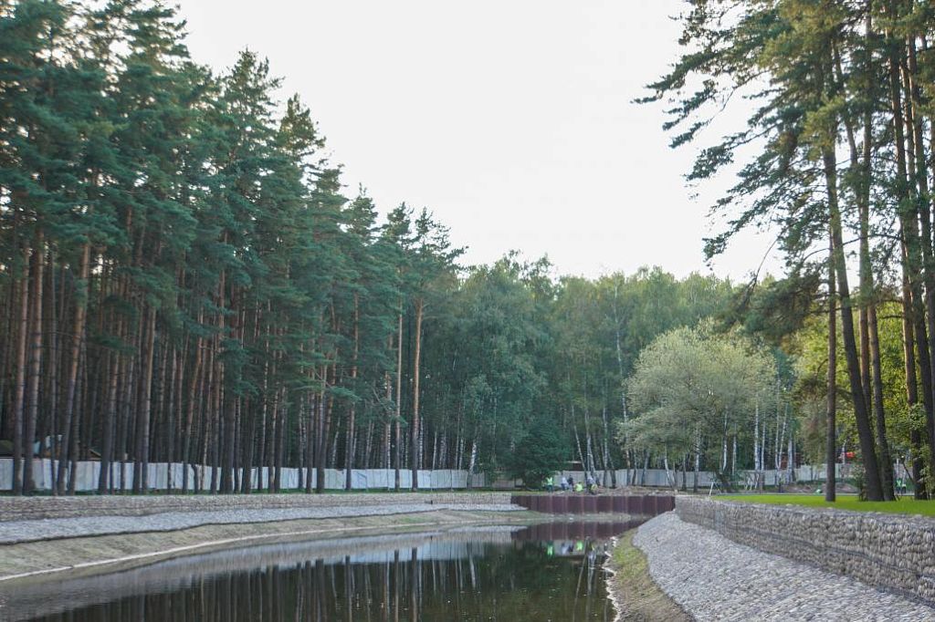 Фото парка елочки в домодедово